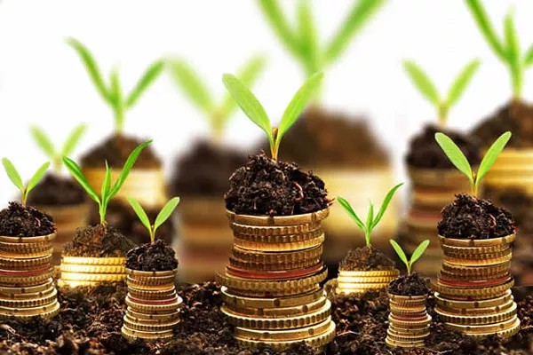 Agriland Sacco microfinance services for farmers - financial empowerment in African agriculture