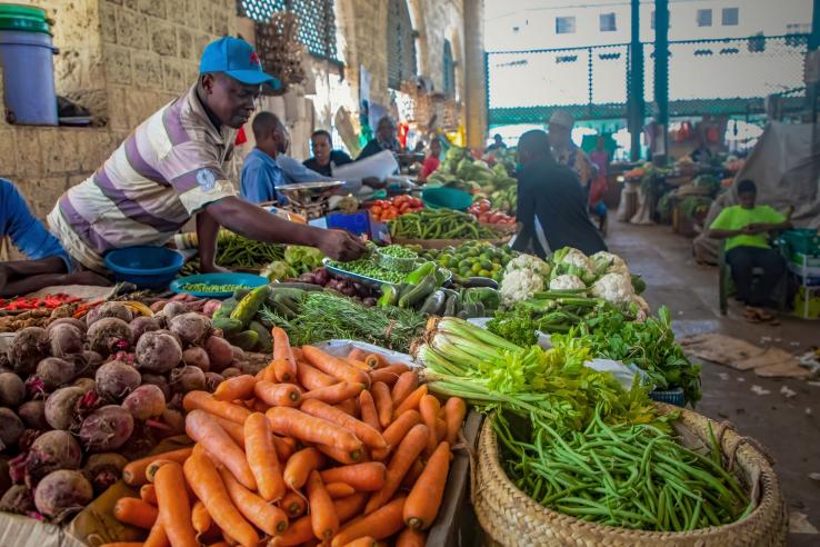Agriland Fresh Produce - quality agricultural products and fresh produce market in Kenya