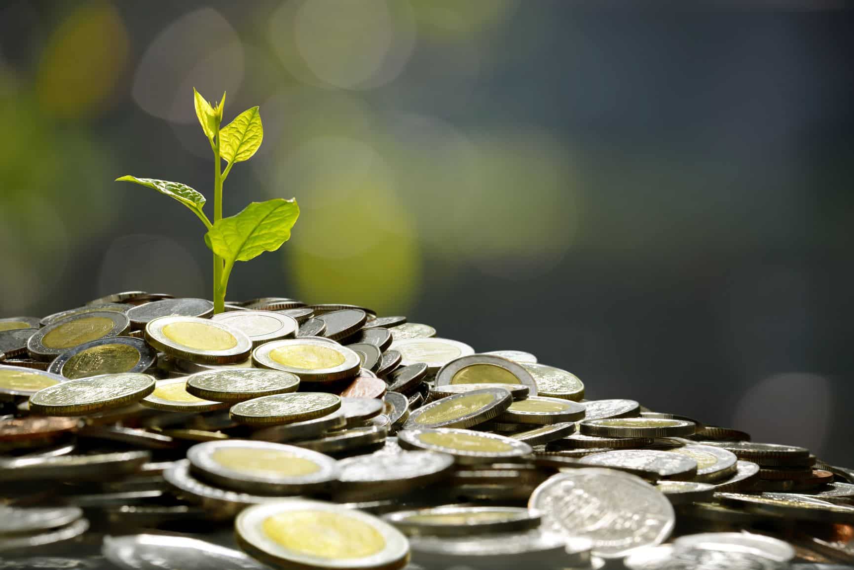 SACCO Deposit Account