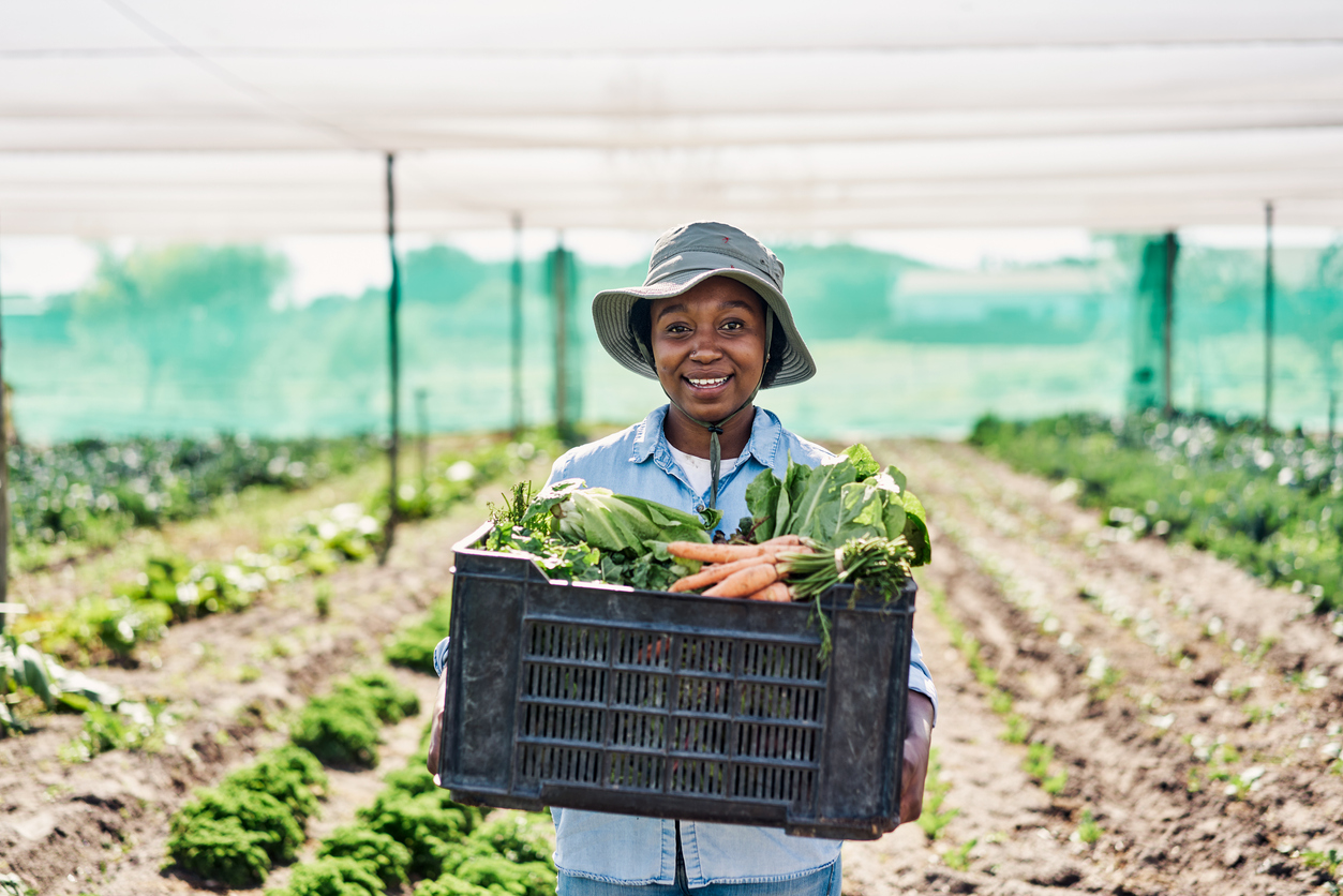 Transforming Agriculture for Small-Scale Farmers