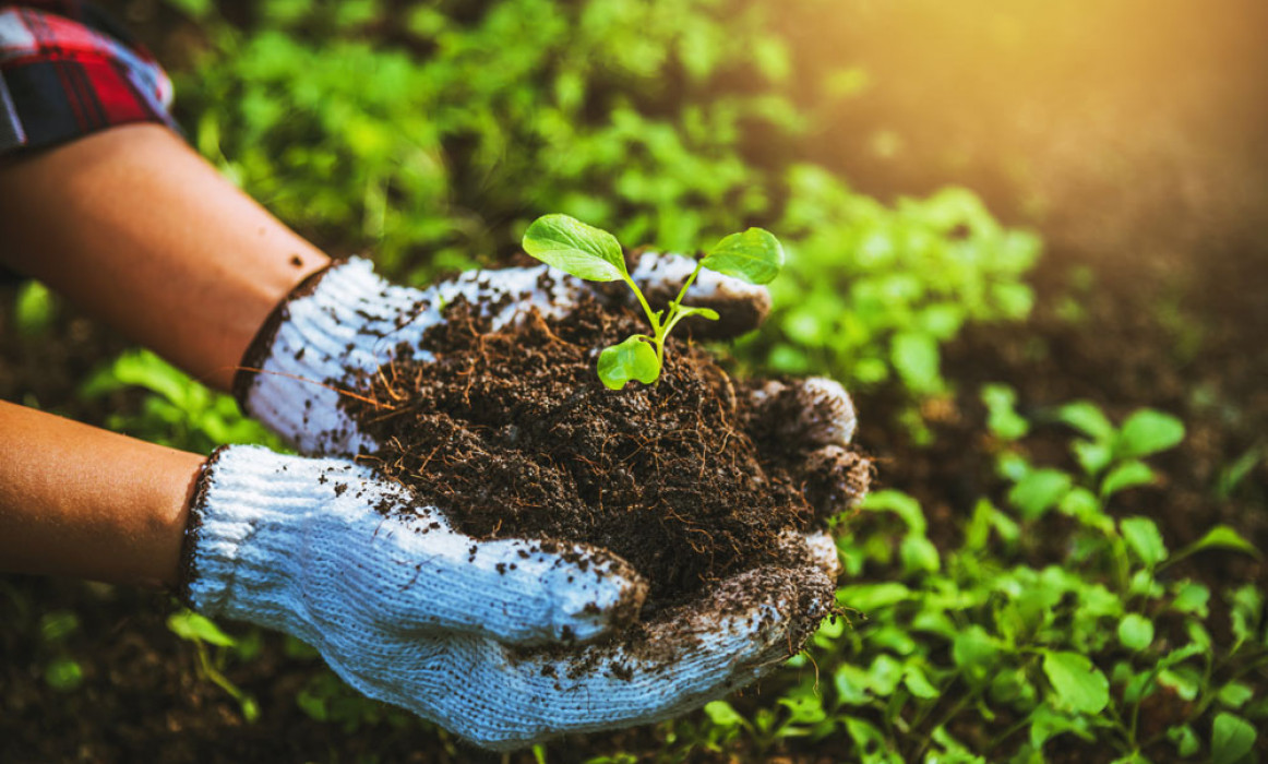 Transforming Agriculture for a Sustainable Future